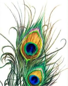 перья павлина хорошо использовать в цветах из шелка картинка