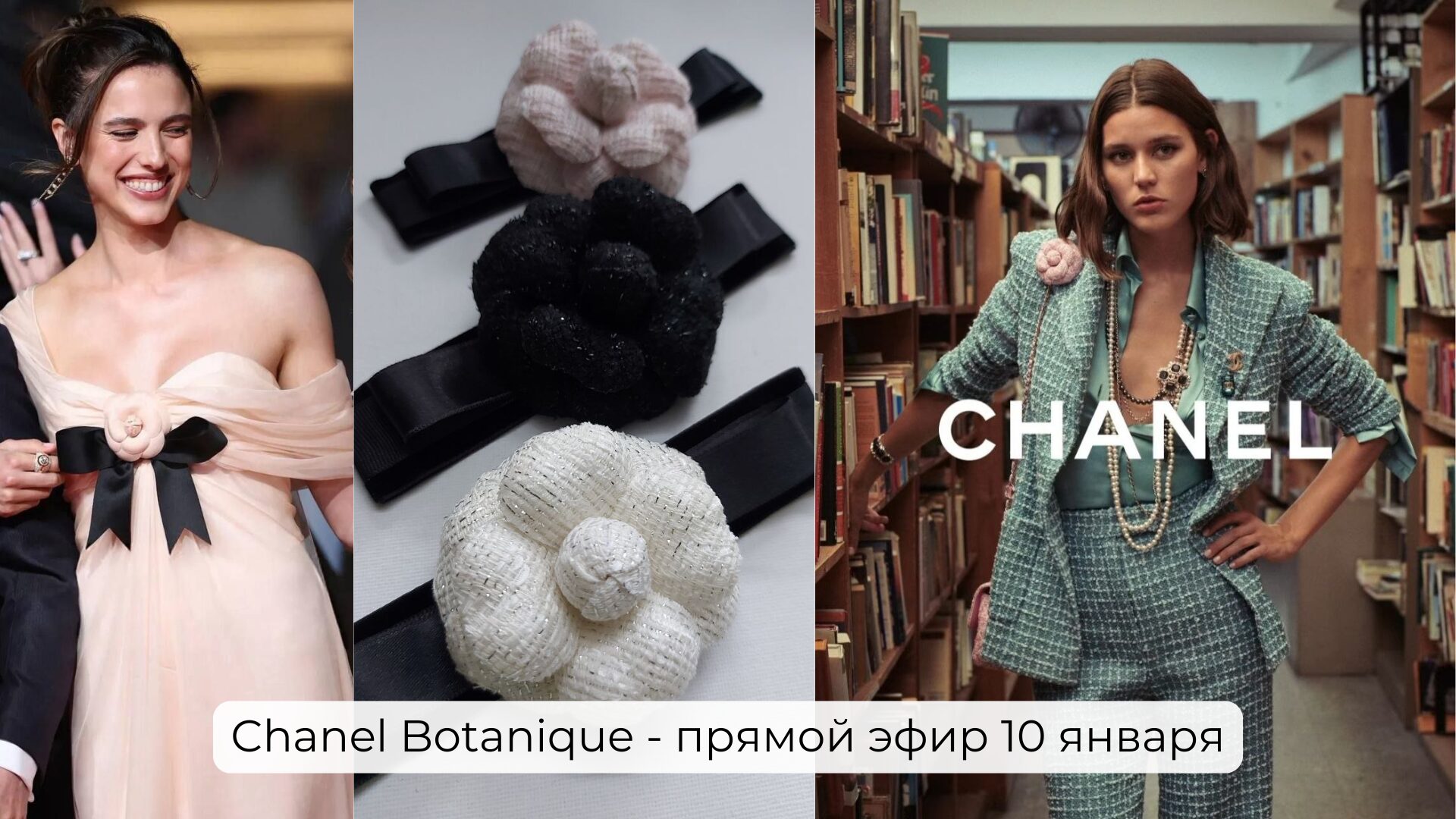 Камелия Chanel - цветок ставший классикой стиля