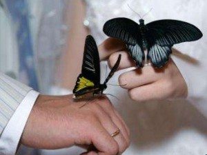 Бабочки на руках