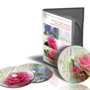 for-videoteka-silkflora-450x450