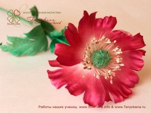 mak-angelina-efremova
