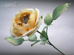 silk-flowers-arhipova-svetlana-9 Ученическая работа Светланы Архиповой