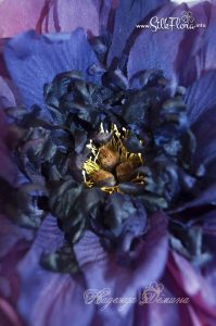 silk-flowers-demina-nadezhda-27 Ученическая работа Надежды Деминой