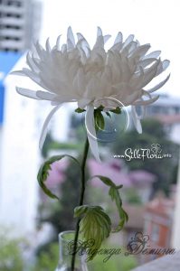 silk-flowers-demina-nadezhda-39 Ученическая работа Надежды Деминой