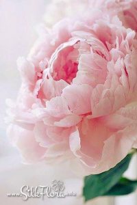 silk-flowers-dovgal-olga-45 Ученическая работа Ольги Довгаль