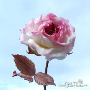 silk-flowers-georgenson-anastasia-35 Ученическая работа Анастасии Георгенсон