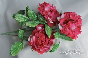 1_Irina-Troshina-Tanjobana-11 Ученическая работа Ирины Трошиной