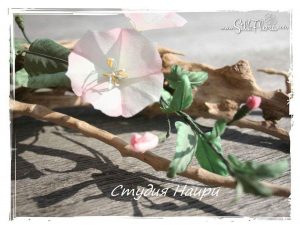 Irina-Troshina-Tanjobana-55 Ученическая работа Ирины Трошиной