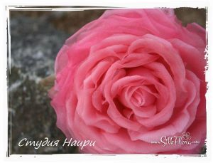 Irina-Troshina-Tanjobana-57 Ученическая работа Ирины Трошиной