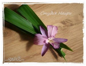 Irina-Troshina-Tanjobana-65 Ученическая работа Ирины Трошиной