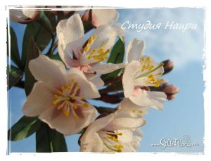 Irina-Troshina-Tanjobana-88 Ученическая работа Ирины Трошиной