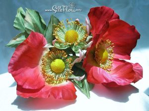 silk-flowers-kochetkova-larisa-15 Ученическая работа Ларисы Кочетковой