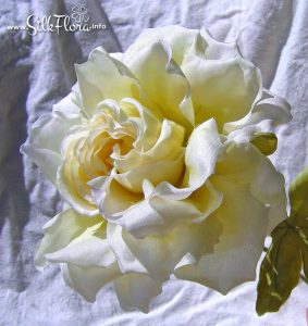 silk-flowers-kochetkova-larisa-21 Ученическая работа Ларисы Кочетковой