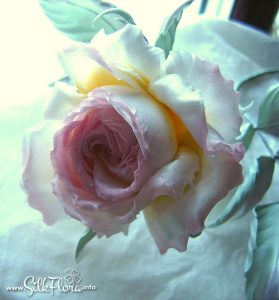 silk-flowers-kochetkova-larisa-25 Ученическая работа Ларисы Кочетковой