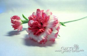 silk-flowers-kostareva-svetlana-3 Ученическая работа Светланы Костаревой