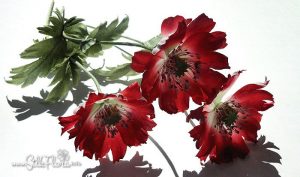 silk-flowers-kostareva-svetlana-5 Ученическая работа Светланы Костаревой