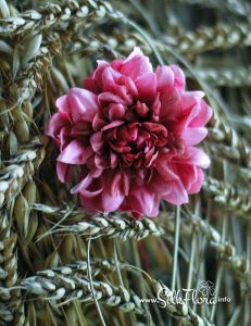 silk-flowers-kotova-tatyana-10 Ученическая работа Татьяны Котовой