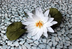 silk-flowers-nazarova-00004 Ученическая работа Валентины Назаровой