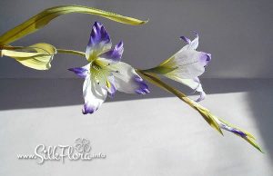 silk-flowers-nikitina-irina-7 Ученическая работа Ирины Никитиной