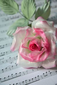 silk-flowers-sin-tatyana-1 Ученическая работа Татьяны Син