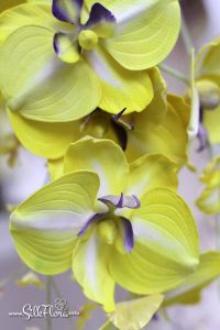 silk-flowers-sotnikova-irina-58 Ученическая работа Ирины Сотниковой