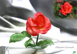 silk-flowers-suhoparova-margarita-13 Ученическая работа Маргариты Сухопаровой