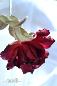 silk-flowers-zadorozhnaya-galina-110 Ученическая работа Галины Задорожной