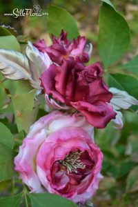 silk-flowers-zadorozhnaya-galina-117 Ученическая работа Галины Задорожной