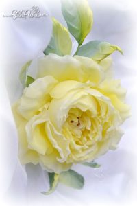 silk-flowers-zadorozhnaya-galina-137 Ученическая работа Галины Задорожной