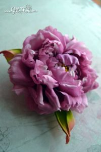 silk-flowers-zadorozhnaya-galina-155 Ученическая работа Галины Задорожной