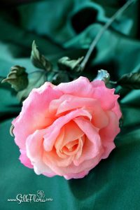 silk-flowers-zadorozhnaya-galina-91 Ученическая работа Галины Задорожной